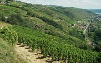 Domaine Paul Avril Clos des Papes Chateauneuf du Pape